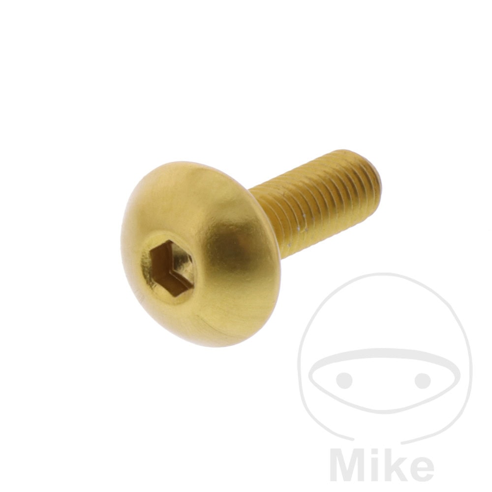 DOME HEAD BOLT JMP BOLT M5X0.8MM 16MM ALUMINIUM GOLD NextPart.dk Reservedele Motorcykler touring Sport Racing Atv Oliefilter Luftfilter Bremseklodser Bremseskive Tændrør Kædekit Dæk DOME HEAD BOLT JMP BOLT M5X0.8MM 16MM ALUMINIUM GOLD