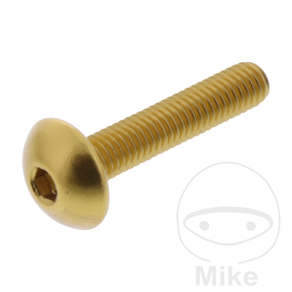 DOME HEAD BOLT JMP BOLT M5X0.8MM 25MM ALUMINIUM GOLD NextPart.dk Reservedele Motorcykler touring Sport Racing Atv Oliefilter Luftfilter Bremseklodser Bremseskive Tændrør Kædekit Dæk DOME HEAD BOLT JMP BOLT M5X0.8MM 25MM ALUMINIUM GOLD
