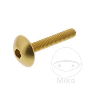 DOME HEAD BOLT JMP BOLT M5X0.8MM 30MM ALUMINIUM GOLD NextPart.dk Reservedele Motorcykler touring Sport Racing Atv Oliefilter Luftfilter Bremseklodser Bremseskive Tændrør Kædekit Dæk DOME HEAD BOLT JMP BOLT M5X0.8MM 30MM ALUMINIUM GOLD