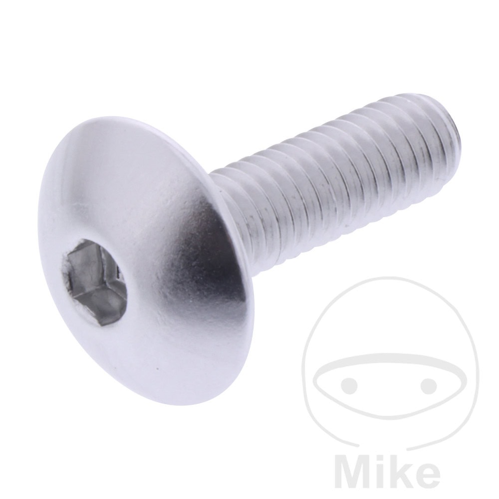 DOME HEAD BOLT JMP BOLT M6X1.00MM 20MM ALUMINIUM SILVER NextPart.dk Reservedele Motorcykler touring Sport Racing Atv Oliefilter Luftfilter Bremseklodser Bremseskive Tændrør Kædekit Dæk DOME HEAD BOLT JMP BOLT M6X1.00MM 20MM ALUMINIUM SILVER