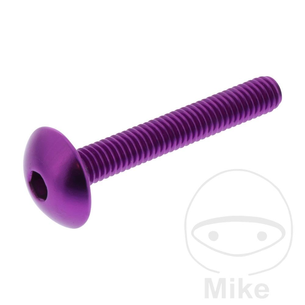 DOME HEAD BOLT JMP BOLT M6X1.00MM 40MM ALUMINIUM PURPLE NextPart.dk Reservedele Motorcykler touring Sport Racing Atv Oliefilter Luftfilter Bremseklodser Bremseskive Tændrør Kædekit Dæk DOME HEAD BOLT JMP BOLT M6X1.00MM 40MM ALUMINIUM PURPLE