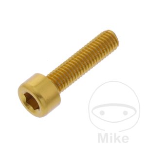 HEX SOCKET CAP SCREW JMP BOLT M5X0.8MM 20MM ALUMINIUM GOLD NextPart.dk Reservedele Motorcykler touring Sport Racing Atv Oliefilter Luftfilter Bremseklodser Bremseskive Tændrør Kædekit Dæk HEX SOCKET CAP SCREW JMP BOLT M5X0.8MM 20MM ALUMINIUM GOLD