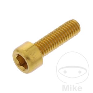 HEX SOCKET CAP SCREW JMP BOLT M6X1.00MM 20MM ALUMINIUM GOLD NextPart.dk Reservedele Motorcykler touring Sport Racing Atv Oliefilter Luftfilter Bremseklodser Bremseskive Tændrør Kædekit Dæk HEX SOCKET CAP SCREW JMP BOLT M6X1.00MM 20MM ALUMINIUM GOLD