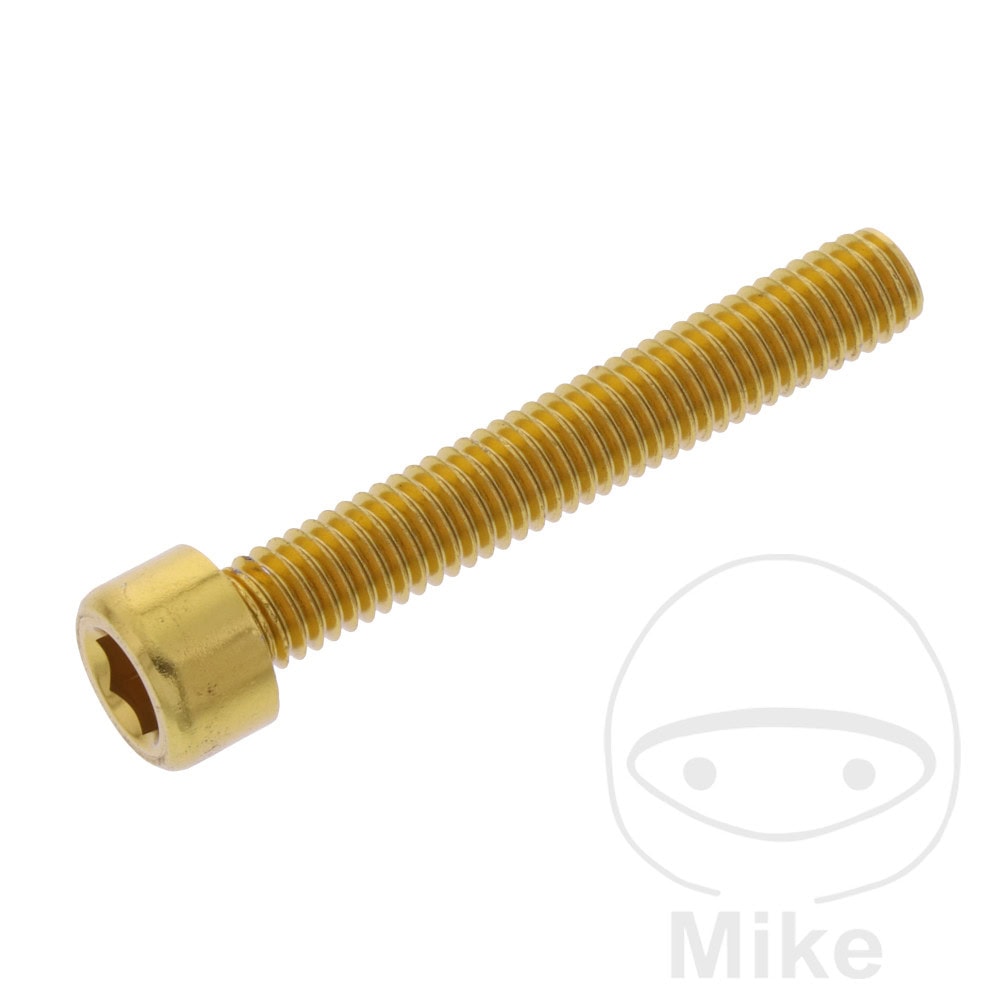 HEX SOCKET CAP SCREW JMP BOLT M6X1.00MM 40MM ALUMINIUM GOLD NextPart.dk Reservedele Motorcykler touring Sport Racing Atv Oliefilter Luftfilter Bremseklodser Bremseskive Tændrør Kædekit Dæk HEX SOCKET CAP SCREW JMP BOLT M6X1.00MM 40MM ALUMINIUM GOLD
