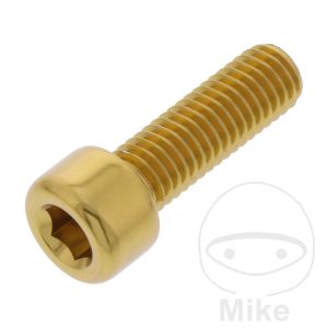 HEX SOCKET CAP SCREW JMP BOLT M8X1.25MM 25MM ALUMINIUM GOLD NextPart.dk Reservedele Motorcykler touring Sport Racing Atv Oliefilter Luftfilter Bremseklodser Bremseskive Tændrør Kædekit Dæk HEX SOCKET CAP SCREW JMP BOLT M8X1.25MM 25MM ALUMINIUM GOLD