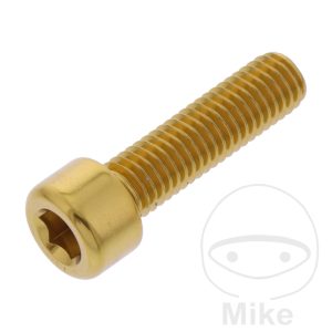 HEX SOCKET CAP SCREW JMP BOLT M8X1.25MM 30MM ALUMINIUM GOLD NextPart.dk Reservedele Motorcykler touring Sport Racing Atv Oliefilter Luftfilter Bremseklodser Bremseskive Tændrør Kædekit Dæk HEX SOCKET CAP SCREW JMP BOLT M8X1.25MM 30MM ALUMINIUM GOLD
