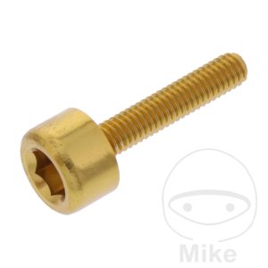 HEX SOCKET CAP SCREW JMP BOLT M4X0.7MM 20MM ALUMINIUM GOLD NextPart.dk Reservedele Motorcykler touring Sport Racing Atv Oliefilter Luftfilter Bremseklodser Bremseskive Tændrør Kædekit Dæk HEX SOCKET CAP SCREW JMP BOLT M4X0.7MM 20MM ALUMINIUM GOLD