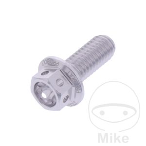 HEX BOLT JMP BOLT M6X1MM 15MM ALU RACING SILVER NextPart.dk Reservedele Motorcykler touring Sport Racing Atv Oliefilter Luftfilter Bremseklodser Bremseskive Tændrør Kædekit Dæk HEX BOLT JMP BOLT M6X1MM 15MM ALU RACING SILVER