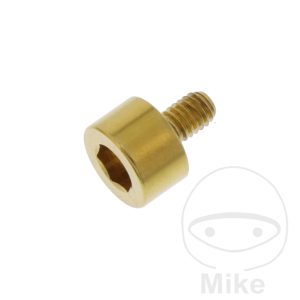BOLT FUEL TANK CAP M4X0.7MM 6.5MM STAINLESS STEEL A4 GOLD NextPart.dk Reservedele Motorcykler touring Sport Racing Atv Oliefilter Luftfilter Bremseklodser Bremseskive Tændrør Kædekit Dæk BOLT FUEL TANK CAP M4X0.7MM 6.5MM STAINLESS STEEL A4 GOLD