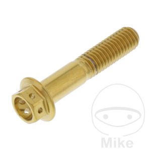 HEX BOLT M8X1.25 40MM STAINLESS STEEL A4 RACING GOLD