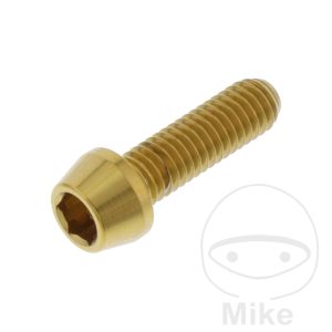 CONE HEAD BOLT M6X1MM 20MM STAINLESS STEEL A4 GOLD