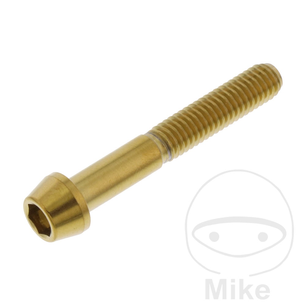 CONE HEAD BOLT M6X1MM 40MM STAINLESS STEEL A4 GOLD NextPart.dk Reservedele Motorcykler touring Sport Racing Atv Oliefilter Luftfilter Bremseklodser Bremseskive Tændrør Kædekit Dæk CONE HEAD BOLT M6X1MM 40MM STAINLESS STEEL A4 GOLD