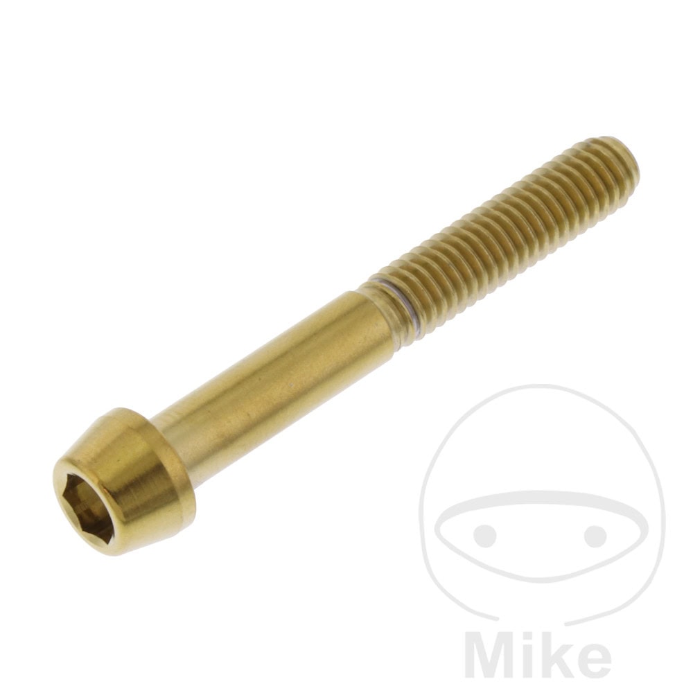 CONE HEAD BOLT M6X1MM 45MM STAINLESS STEEL A4 GOLD NextPart.dk Reservedele Motorcykler touring Sport Racing Atv Oliefilter Luftfilter Bremseklodser Bremseskive Tændrør Kædekit Dæk CONE HEAD BOLT M6X1MM 45MM STAINLESS STEEL A4 GOLD