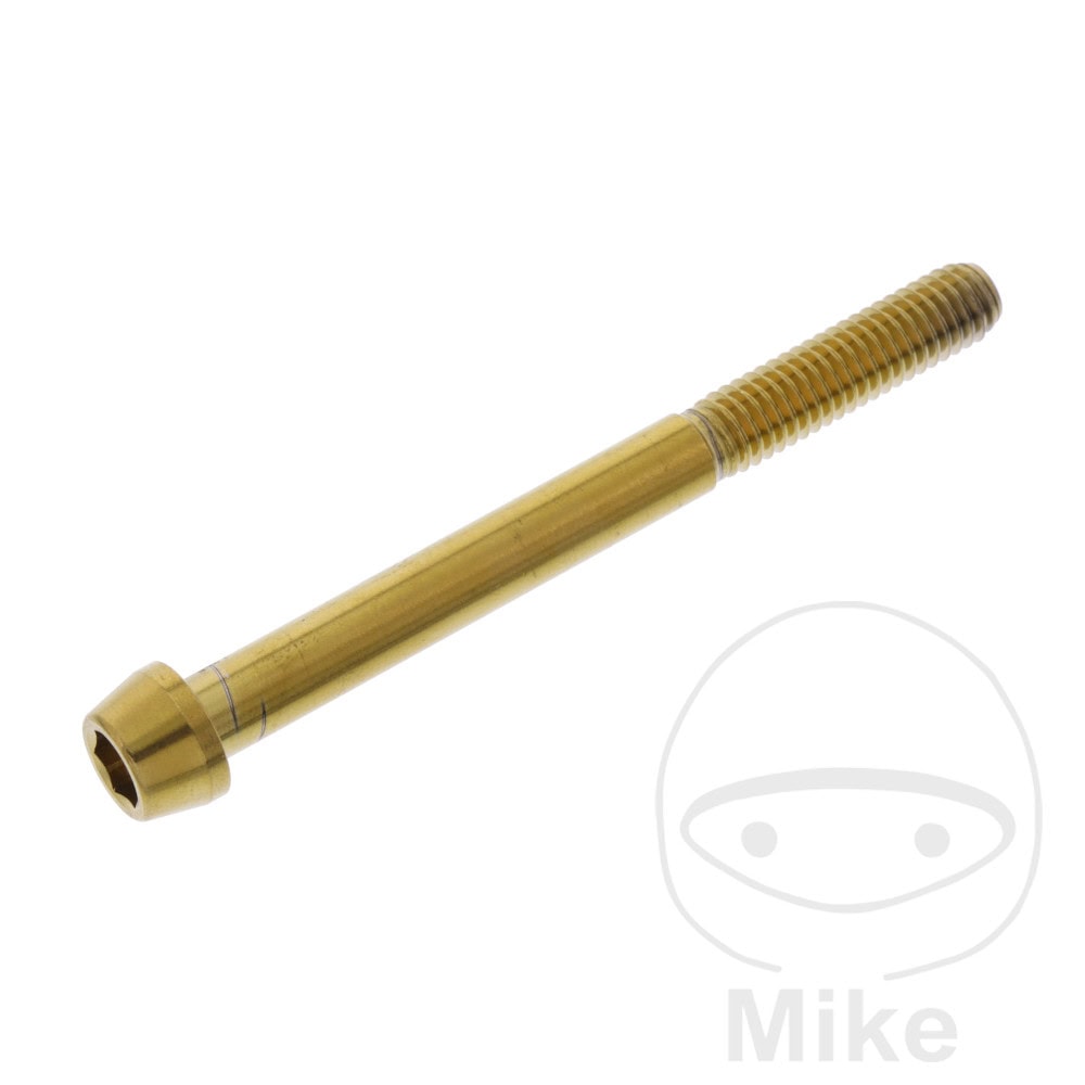 CONE HEAD BOLT M6X1MM 65MM STAINLESS STEEL A4 GOLD NextPart.dk Reservedele Motorcykler touring Sport Racing Atv Oliefilter Luftfilter Bremseklodser Bremseskive Tændrør Kædekit Dæk CONE HEAD BOLT M6X1MM 65MM STAINLESS STEEL A4 GOLD