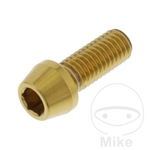 CONE HEAD BOLT M8X1.25MM 20MM STAINLESS STEEL A4 GOLD