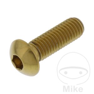BRAKE DISC SCREW M8X1.25MM 25MM STAINLESS STEEL A4 GOLD NextPart.dk Reservedele Motorcykler touring Sport Racing Atv Oliefilter Luftfilter Bremseklodser Bremseskive Tændrør Kædekit Dæk BRAKE DISC SCREW M8X1.25MM 25MM STAINLESS STEEL A4 GOLD