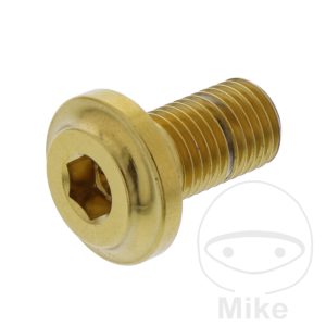 BRAKE DISC SCREW M8X1MM 13MM STAINLESS STEEL A4 GOLD