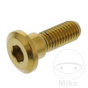 BRAKE DISC SCREW M8X1.25MM 24MM STAINLESS STEEL A4 GOLD