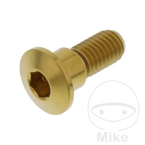 BRAKE DISC SCREW M8X1.25MM 22MM STAINLESS STEEL A4 GOLD NextPart.dk Reservedele Motorcykler touring Sport Racing Atv Oliefilter Luftfilter Bremseklodser Bremseskive Tændrør Kædekit Dæk BRAKE DISC SCREW M8X1.25MM 22MM STAINLESS STEEL A4 GOLD