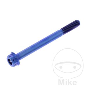 BOLT DUALDRIVE M6X1MM 65MM TITAN RACING BLUE NextPart.dk Reservedele Motorcykler touring Sport Racing Atv Oliefilter Luftfilter Bremseklodser Bremseskive Tændrør Kædekit Dæk BOLT DUALDRIVE M6X1MM 65MM TITAN RACING BLUE