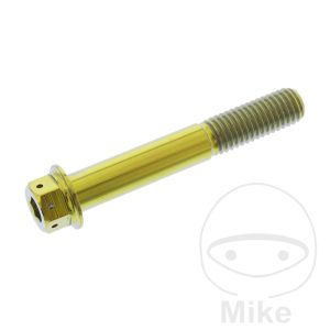 BOLT DUALDRIVE M10X1.50MM 65MM TITAN RACING GOLD NextPart.dk Reservedele Motorcykler touring Sport Racing Atv Oliefilter Luftfilter Bremseklodser Bremseskive Tændrør Kædekit Dæk BOLT DUALDRIVE M10X1.50MM 65MM TITAN RACING GOLD